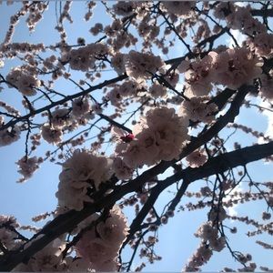 Meet your Posher, Leslie